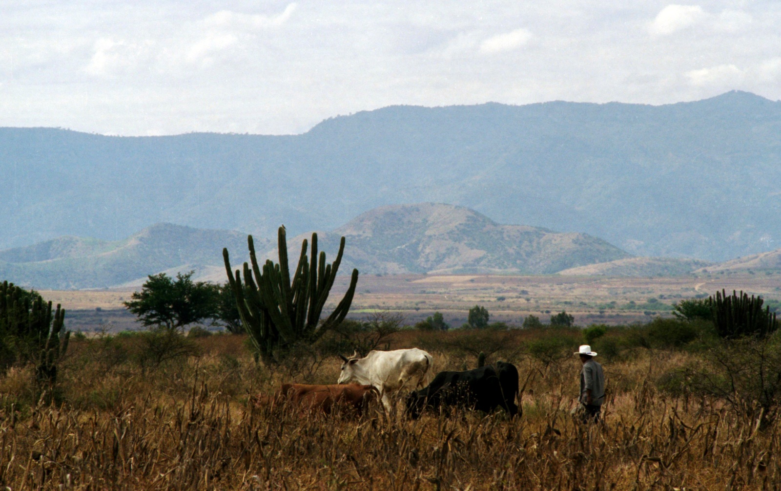 Oaxaca landskab